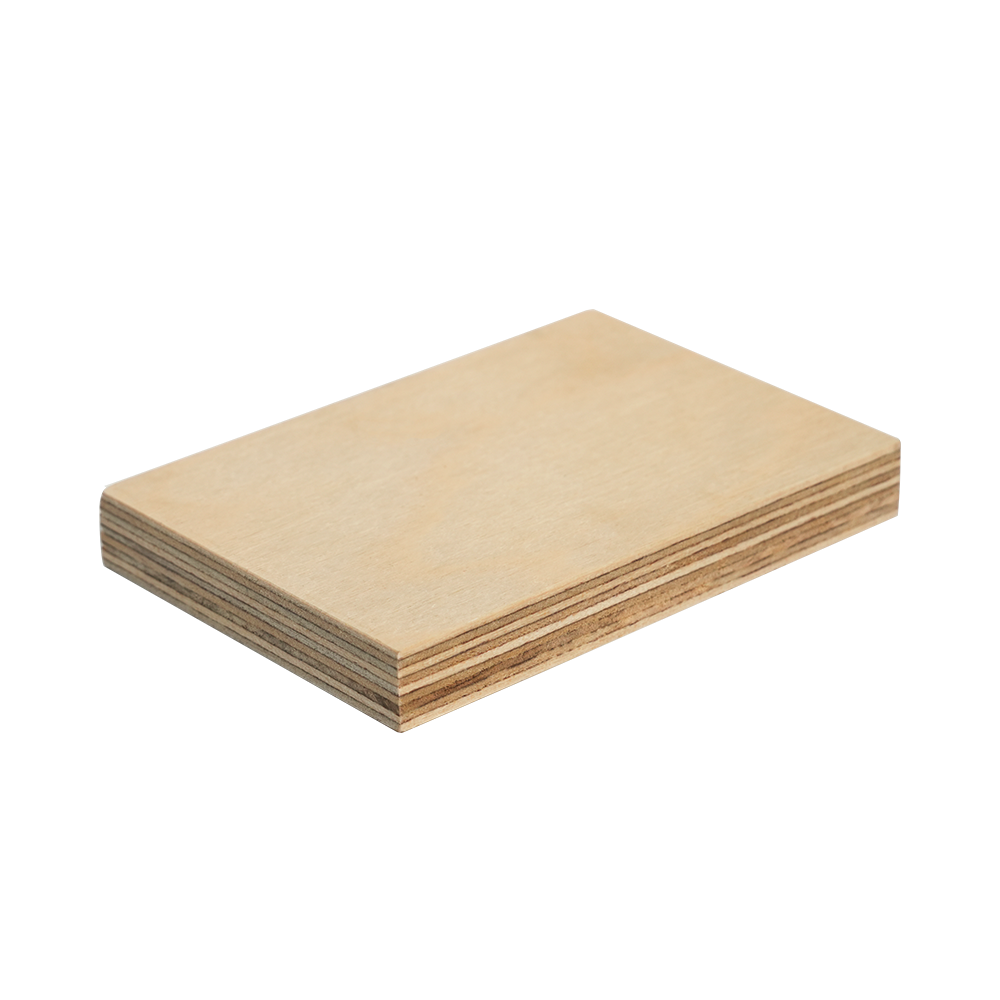 ʻO ka lāʻau lāʻau birch papa kiʻekiʻe (B/BB & S/BB)