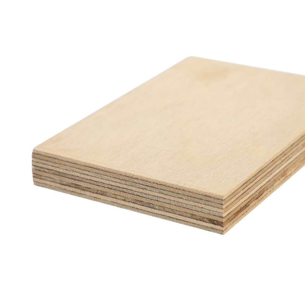 ʻO ka lāʻau lāʻau birch papa kiʻekiʻe (B/BB & S/BB)